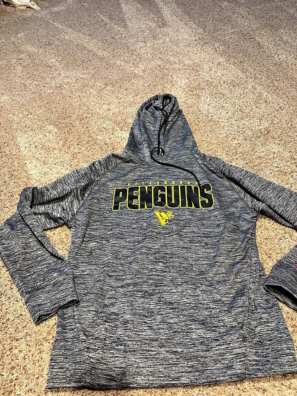 Champion Penguins Hoodie Gray